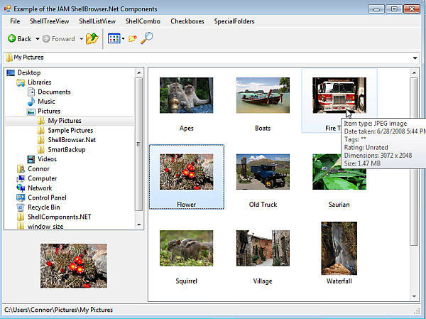 ShellBrowser .Net Edition Screenshot